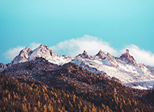 宝盈登录-开云体育官网：让体育热情在指尖绽放的全新体验