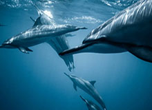 宝盈登录-陈妤颉：面对世锦赛有点小紧张，意识到自己是专业运动员了